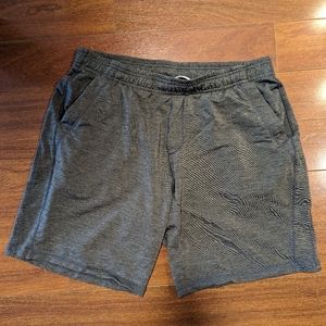 Icebreaker men's shorts